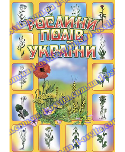 Комплект наочності "Рослини полів України" (на клас з 30 учнів) роздатковий в скрині Комплект наочності "Рослини полів України" (на клас з 30 учнів) роздатковий в скрині