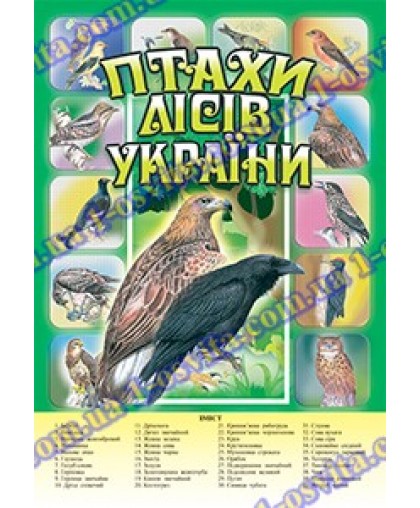 Комплект наочності "Птахи лісів України" (на клас з 30 учнів) роздатковий в скрині Комплект наочності "Птахи лісів України" (на клас з 30 учнів) роздатковий в скрині